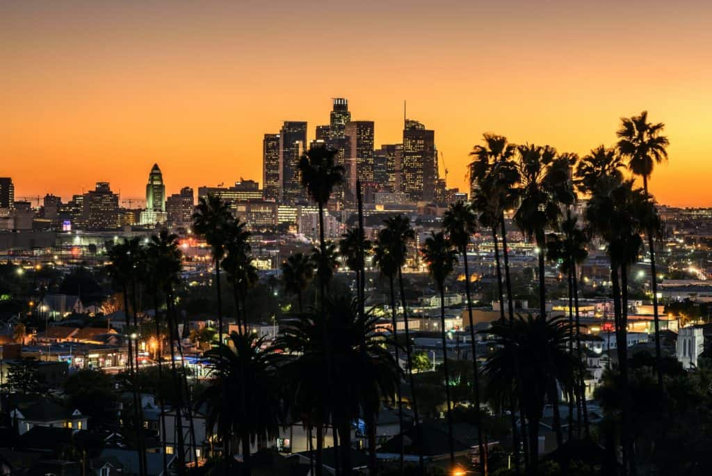 consider getting your California real estate license.  Beautiful sunset through the palm trees, Los Angeles, California.